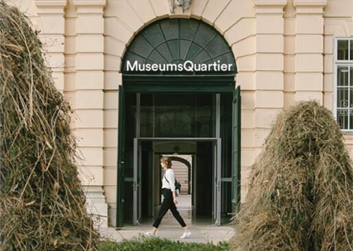 Anita Fuchs – Versuchsfeld 1