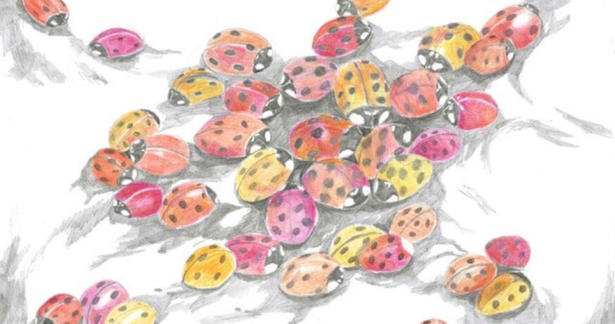 Remember Me by Touch