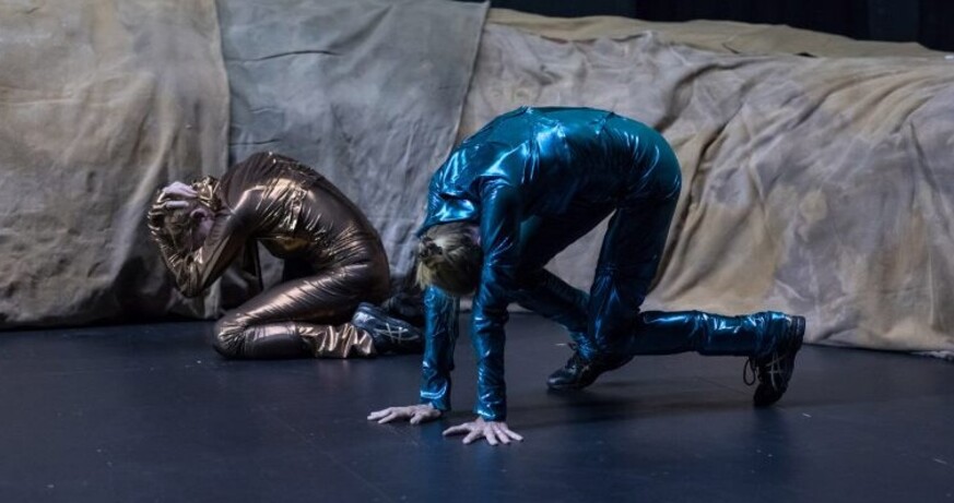 La Ribot / Mathilde Monnier / Tiago Rodrigues - Please Please Please