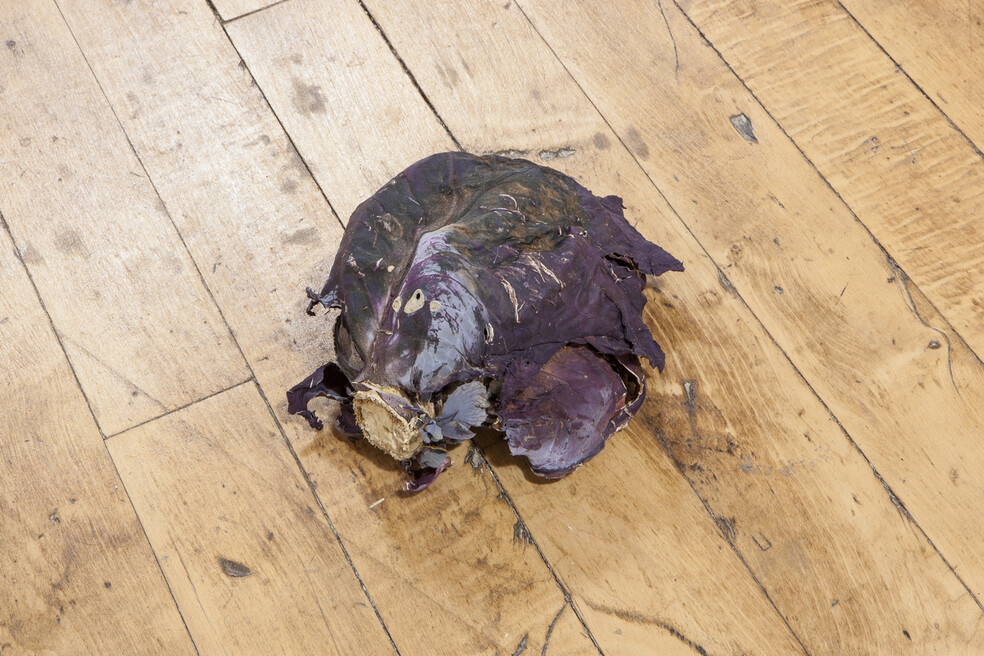 Purple Cabbage, Thrown.