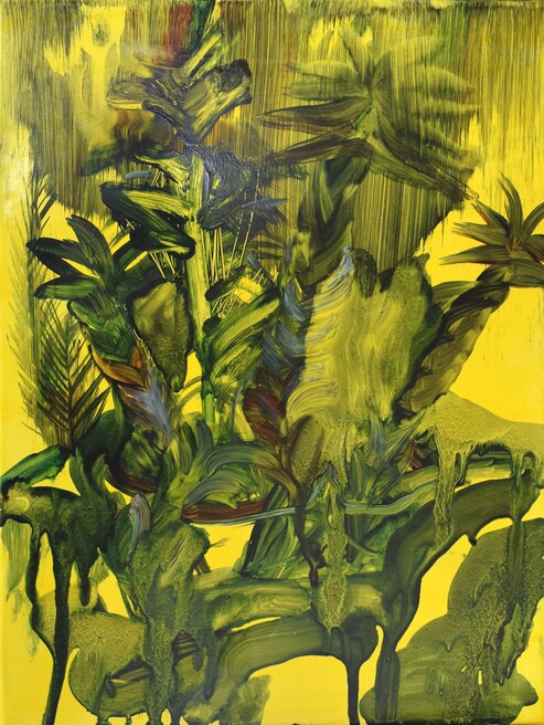 Sedum Acre, oil on canvas, 40x30 cm, 2017