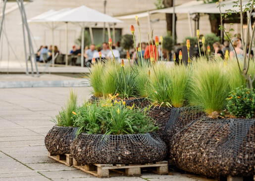 MQ goes Green auf der Architektur Biennale in Venedig