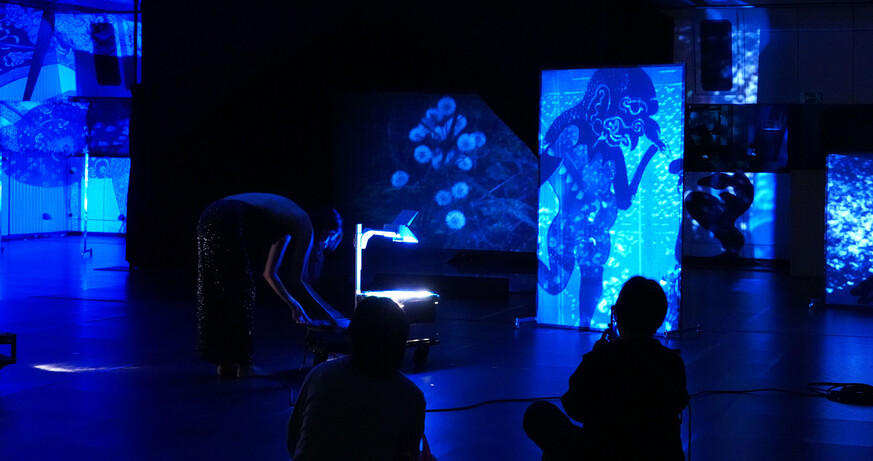 ImPulsTanz: Installation - MALAM / NIGHT