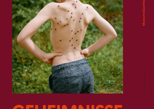 Simon Lehner und MuseumsQuartier Wien