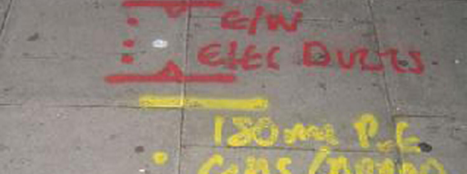 Webtechtool21 © i-DAT Who is afraid of G. A. Schwaiger?