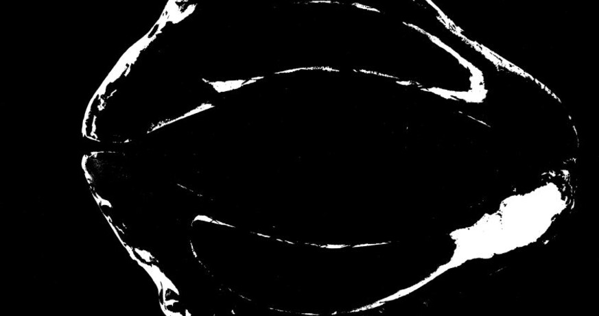 Daniel Aschwanden - Labor: DOG_men
