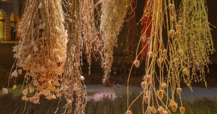 Anita Fuchs: Wiesenstück