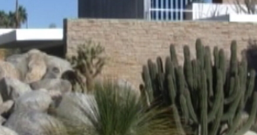 Markus Hanakam & Roswitha Schuller: PALM SPRINGS