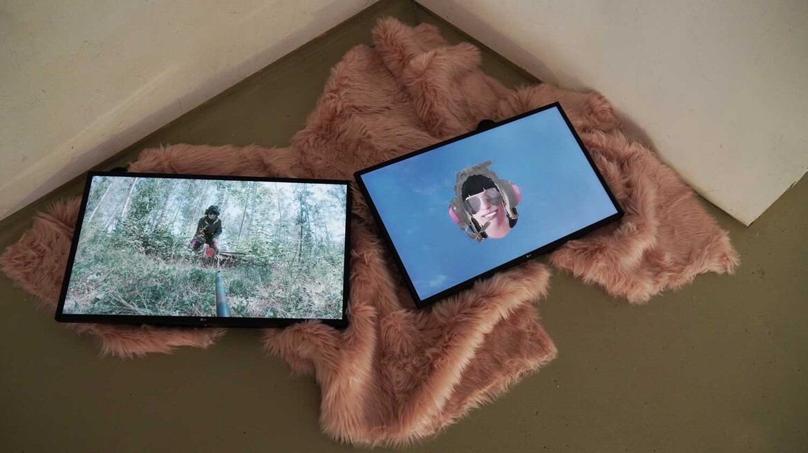 Training Your Best Friend: Eine Wesensprüfung