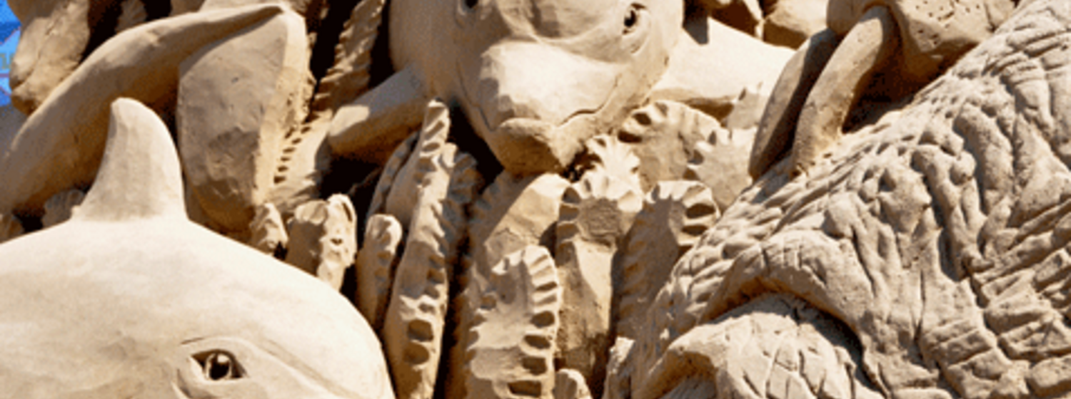 (c) WSSA 2011 Sandsachen und Strandgeschichten