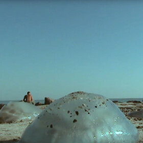 Mykola Ridnyi, Seacoast, 2008