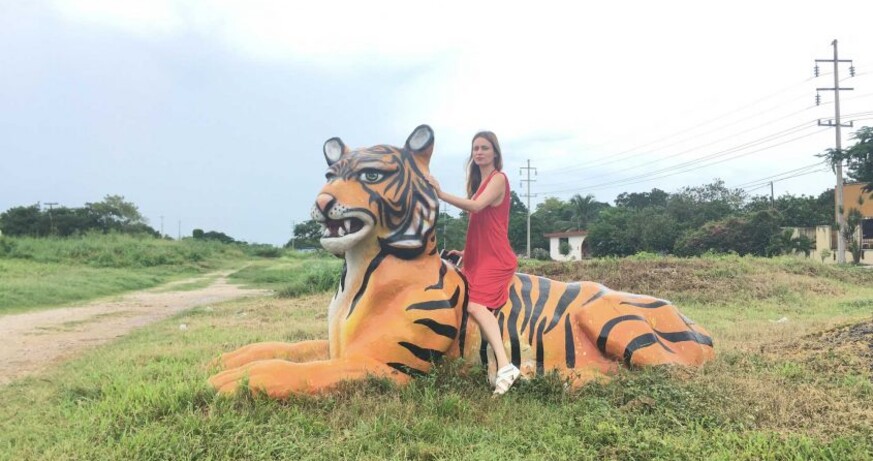 The School of the Jaguar: The Jaguar Talks
