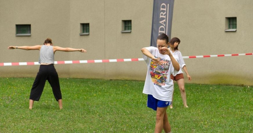 Public Moves: A Dance for 100 Ways to Stumble mit Lau Lukkarila