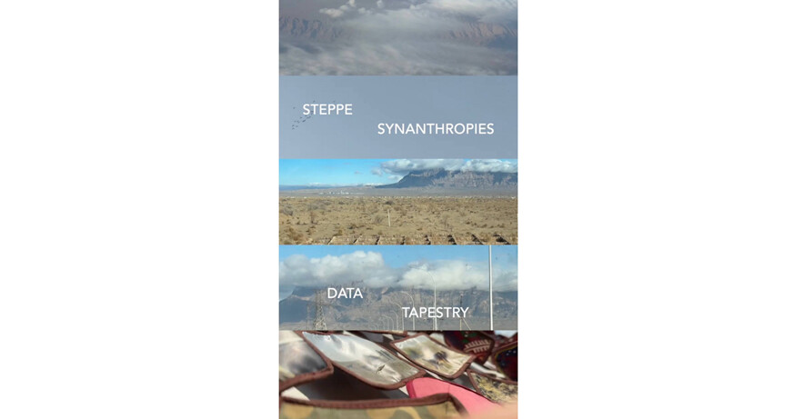 Selbi Jumayeva l Steppe Synanthropies: Data Tapestry