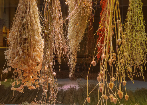 Anita Fuchs – Wiesenstück