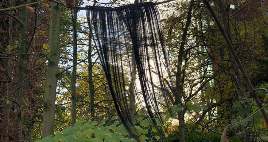 Sorour Darabi - Mowgli