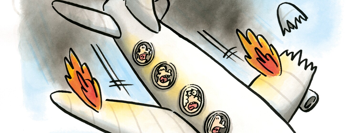 (c) Lilli Bravo Bravouröse Aussichten – Cartoons von Lilli Bravo