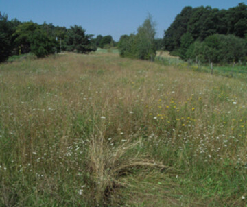 James Clay: Natur Kultur Beton