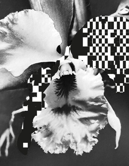 Say Say Say, Inc. / Jutta Wacht & René Poell: AI, Hot Mess