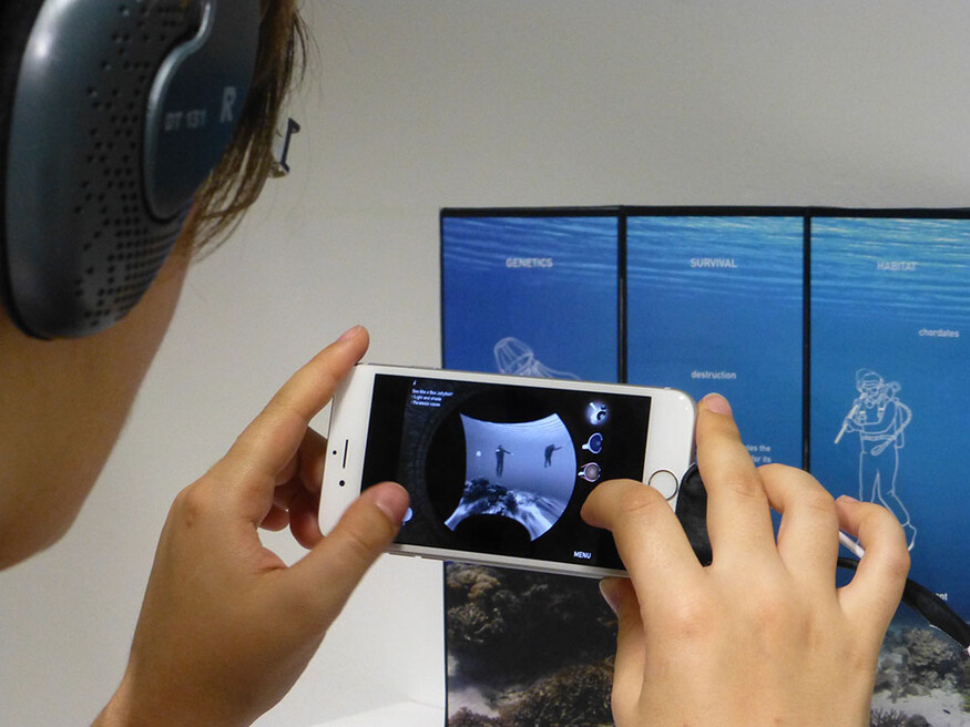 Jellyeyes (2016 - current)