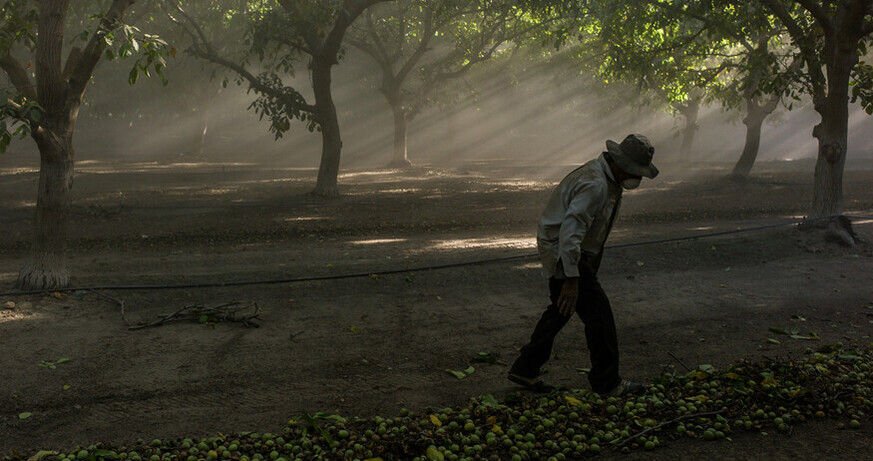 © Martin Huber Ausstellungsrundgang: LandRush & Oasis