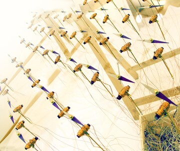 Magnetnadel-Matrix, 2013 © Ulla Rauter Ulla Rauter: CENTREPIN SOUND SPACE