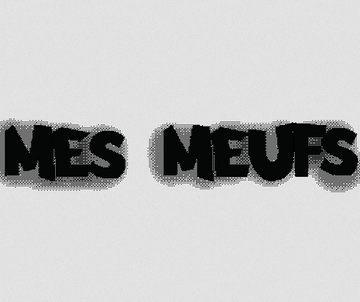 MES MEUFS invited by TRANSFORMER