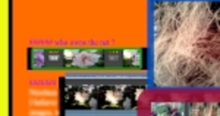 Station Rose: "Urban_NiC-NatureIsCool"