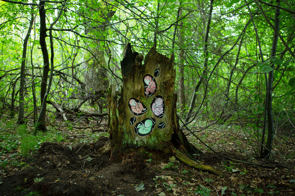 Stumps, Vileika 2019