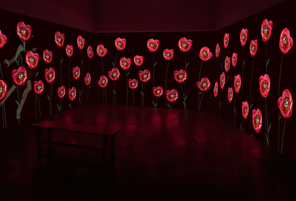 Misread Signs, Installation, 2019