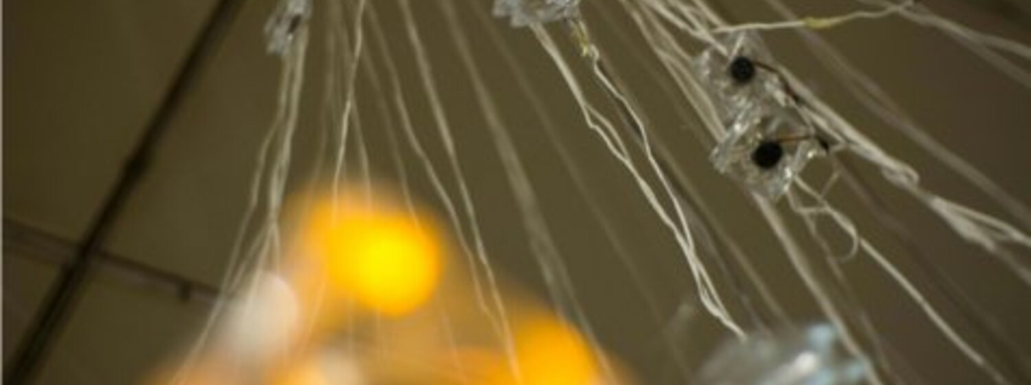 (c) artistic bokeh research BitCoinCloud II: Alternative Economies as Interface to New Media Arts