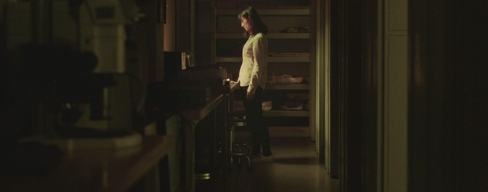 Still aus "Paleonaut"