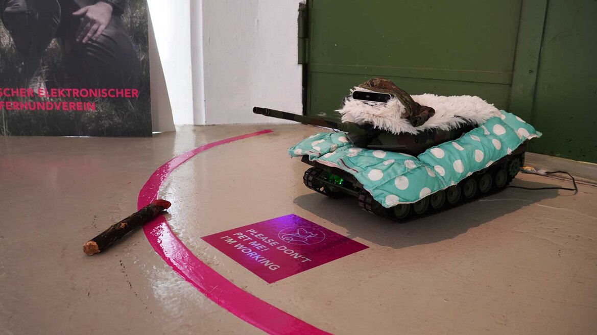 Training Your Best Friend: Eine Wesensprüfung