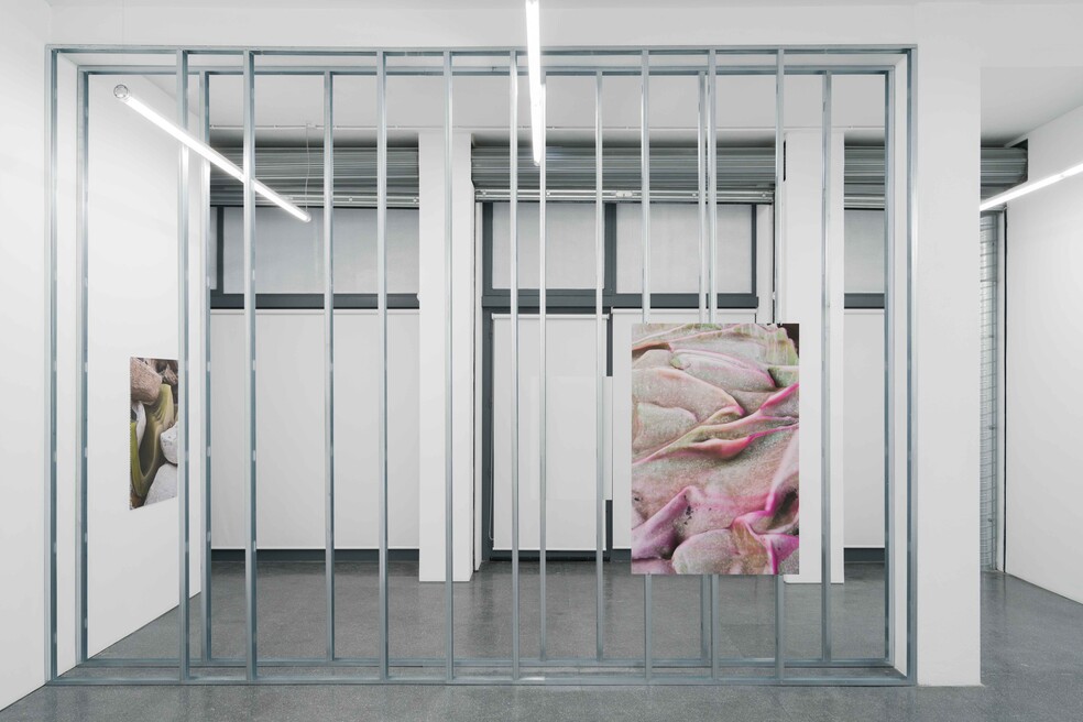 A resonant shell, Lehmann + Silva Gallery