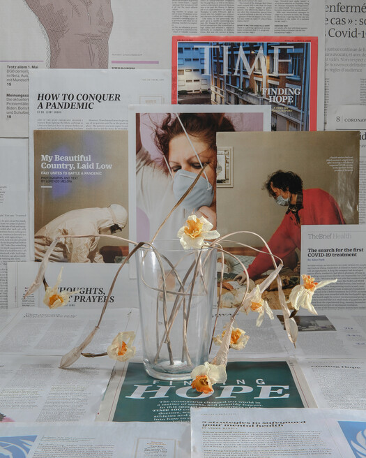 Daffodils. 247,155 / 3,587,497. May 4th.