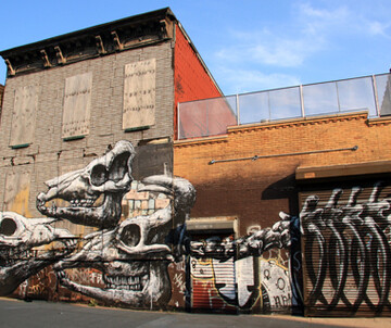 ROA (BEL)