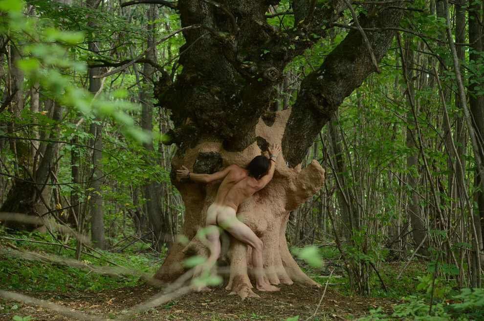 Branches, Cherea 2018