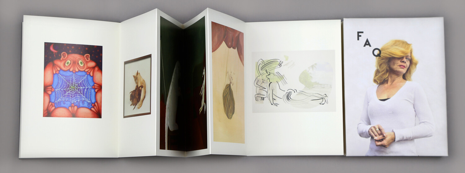 FAQ, Le Dictateur, 2016, Foto: Kunsthalle Wien 2017 Publishing as an Artistic Toolbox: 1989–2017