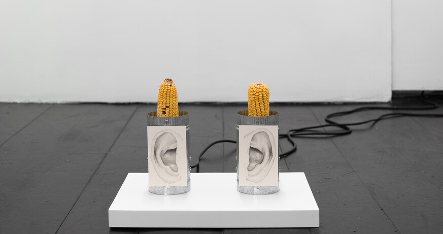 Jesse Stecklow: Terminal