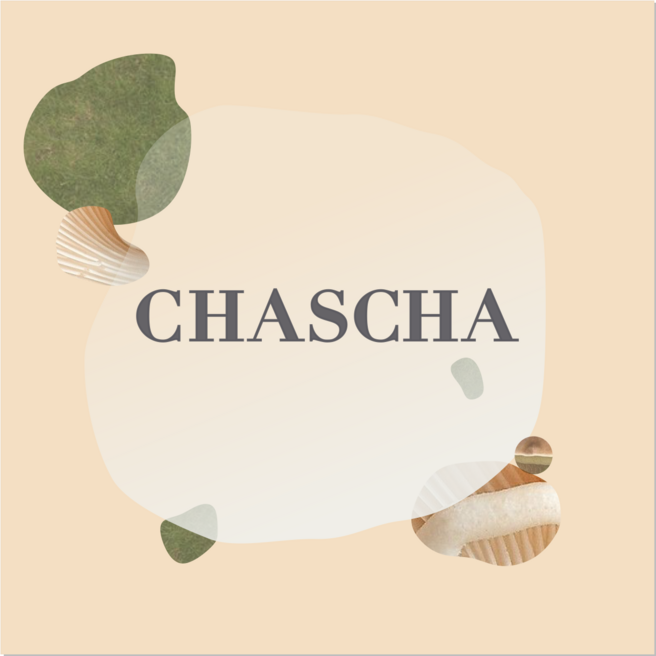 from Chascha artivist group