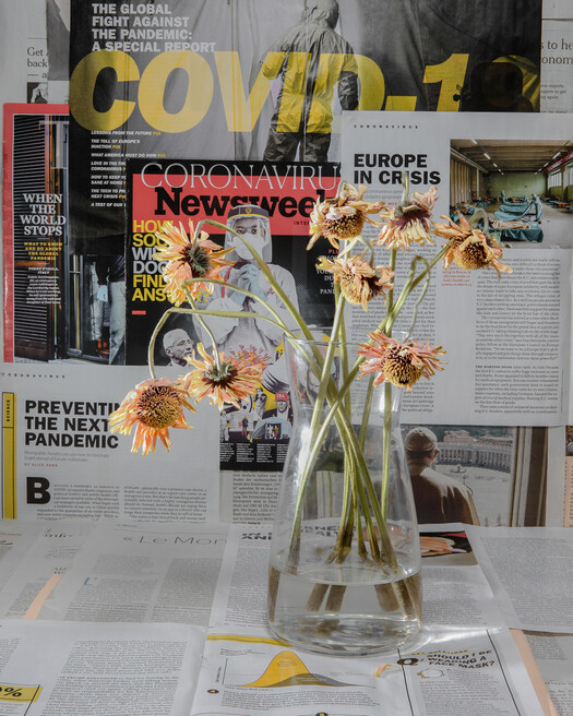 Gerberas. 52,403 / 1,096,043. April 3rd.