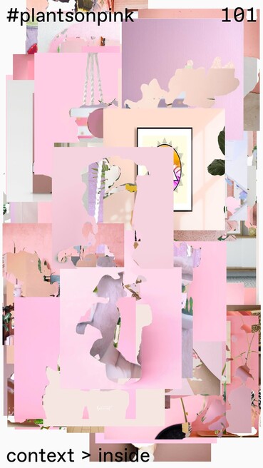 Botanica Variegata - Aesthetics of Exclusion