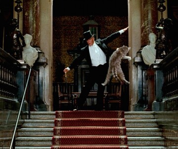 Doctor Fabre Will Cure You by Pierre Coulibeuf © ©Regards Productions PIERRE COULIBEUF. DOCTOR FABRE WILL CURE YOU