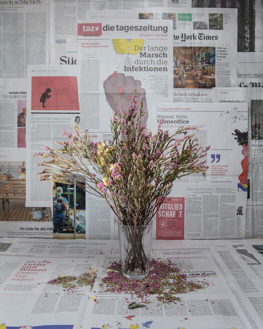 Heather. 227,330 / 3,256,533. April 30th.