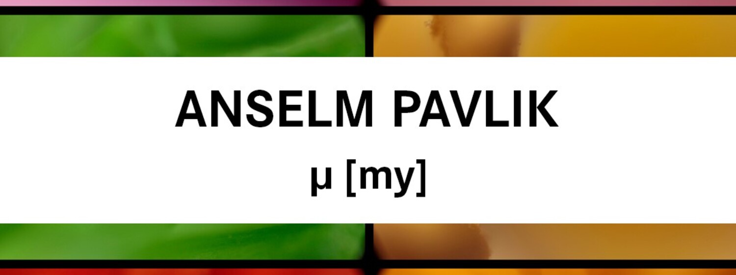 Anselm Pavlik - µ [my]