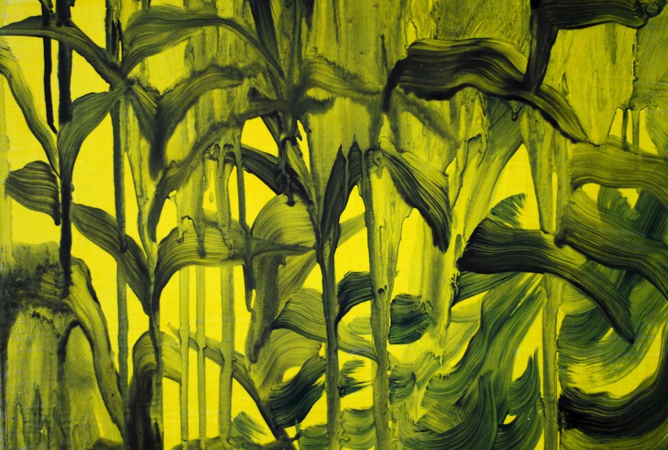 Cornfield, oil on canvas, 50x70cm, 2018