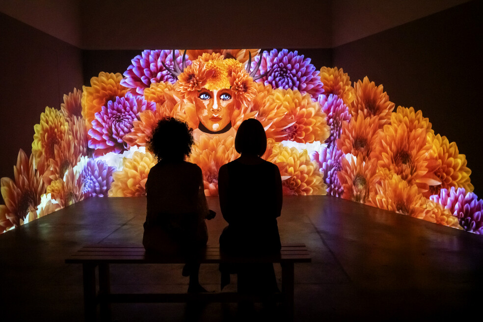 Misread Signs, Installation, 2019