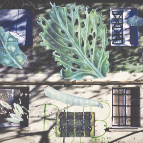 Nikita Kadan, Protections of Plants, 2014 Nikita Kadan, Protections of Plants, 2014