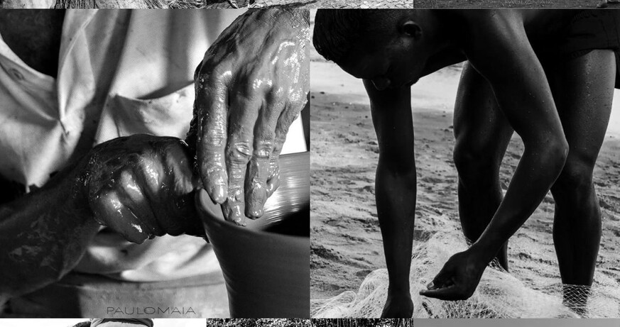 Brazilian Perspectives
