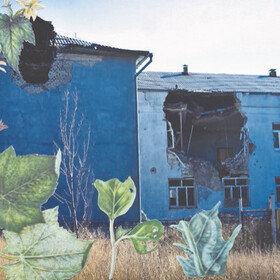 Nikita Kadan, Protections of Plants, 2014 Nikita Kadan, Protections of Plants, 2014